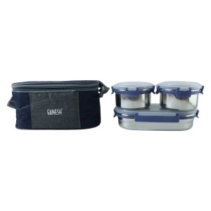 Ganesh Neo Fusion 3 Stainless Steel Lunch Box Set (1 Set)