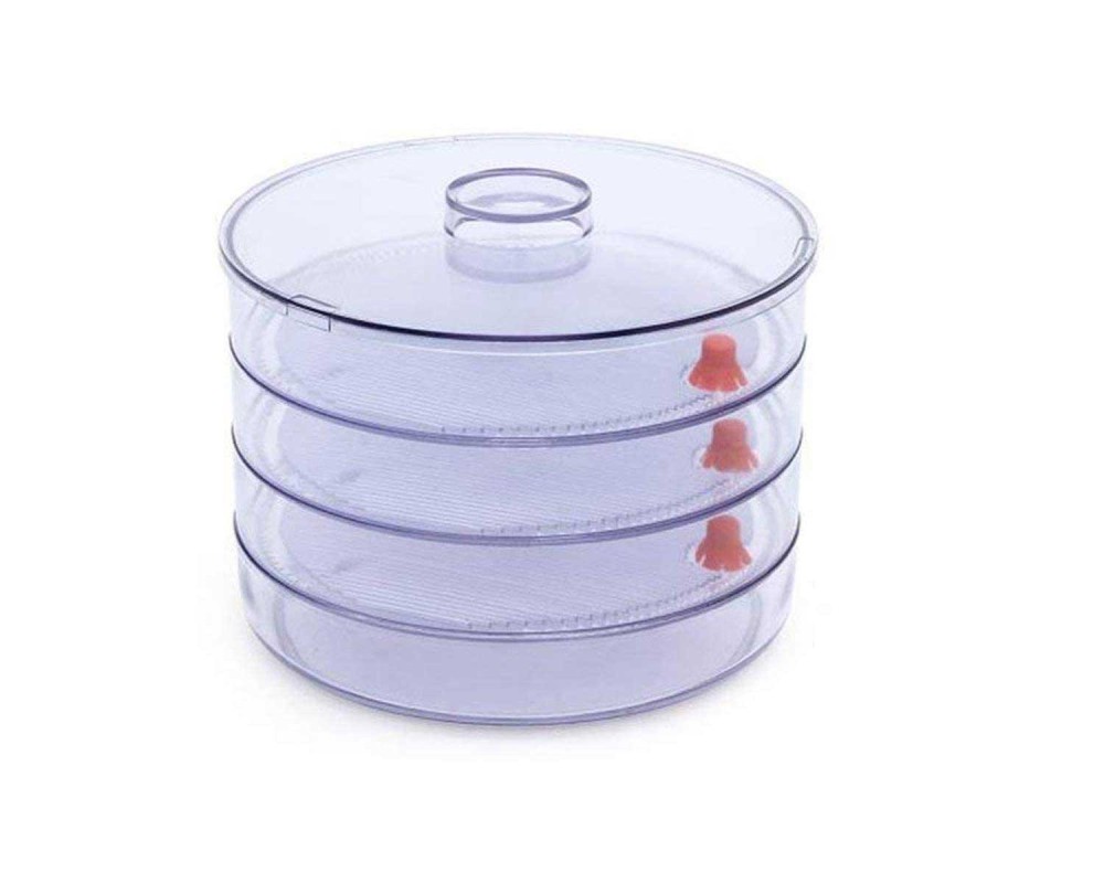 Sprout Maker 4 Compartment – Fresh & Healthy Sprouts | Tidy Table