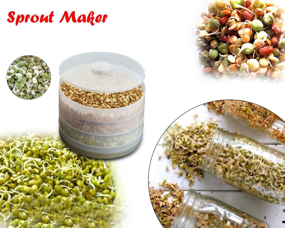 Sprout Maker 4 Compartment – Fresh & Healthy Sprouts | Tidy Table